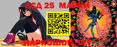 гидра Вязьма