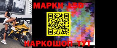 гидра Вязьма