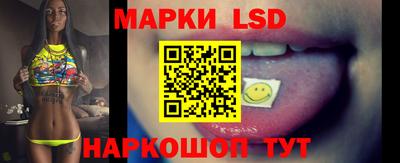 гидра Вязьма