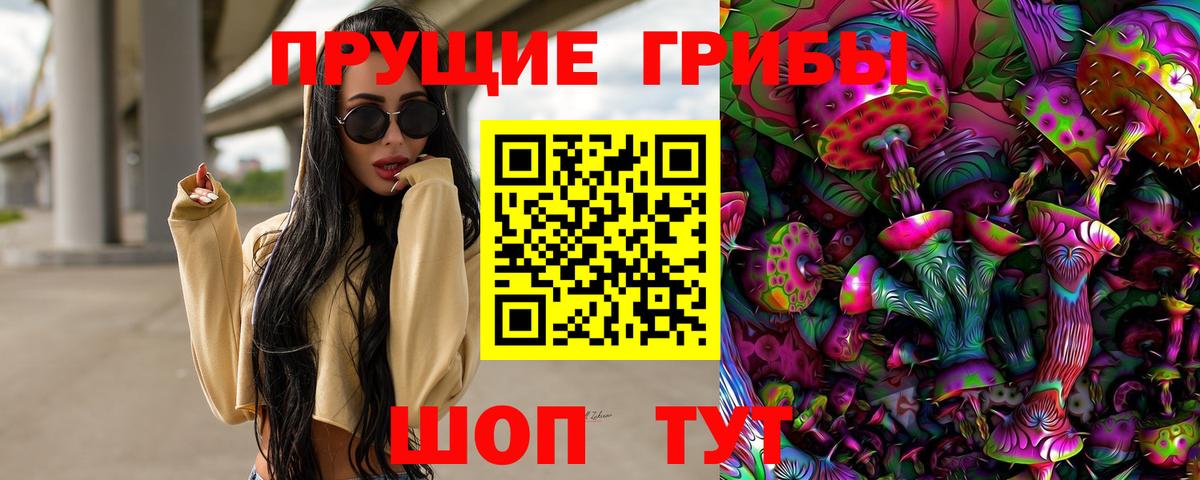 Псилоцибиновые грибы прущие грибы Губкинский