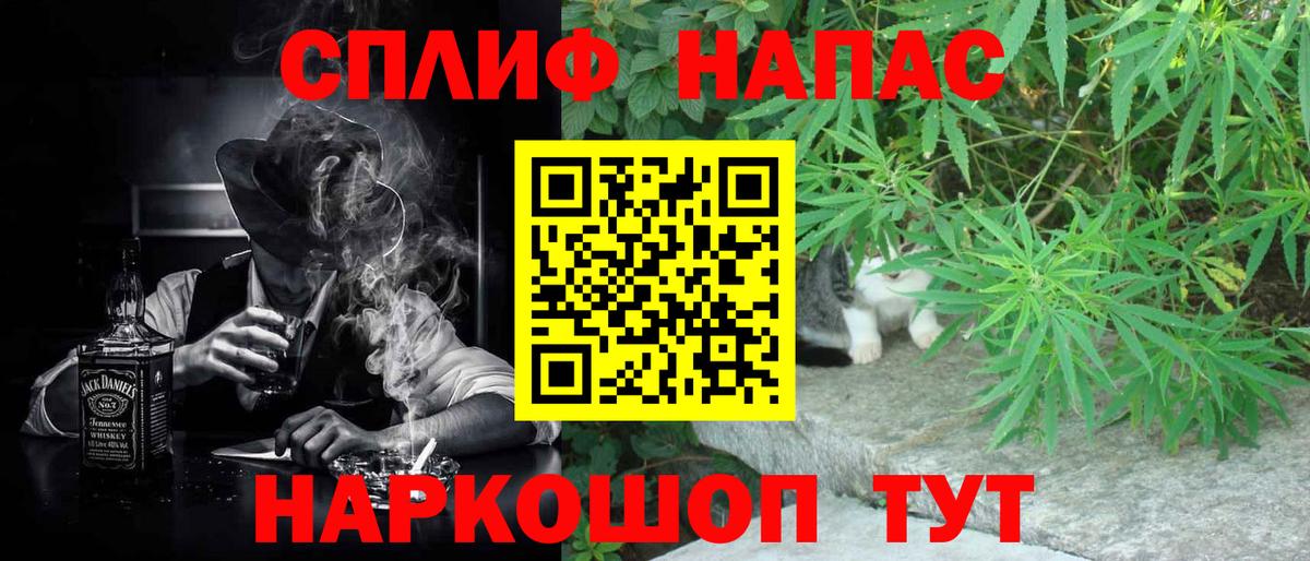 Бошки Шишки семена Губкинский